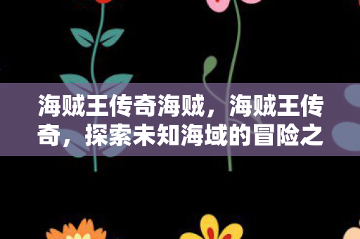 海贼王传奇海贼，海贼王传奇，探索未知海域的冒险之旅