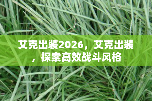 艾克出装2026,艾克出装,探索高效战斗风格 艾克出装2026,艾克出装,探索高效战斗风格