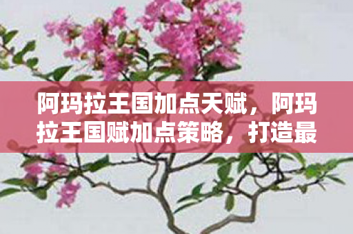 阿玛拉王国加点天赋，阿玛拉王国赋加点策略，打造最强角色
