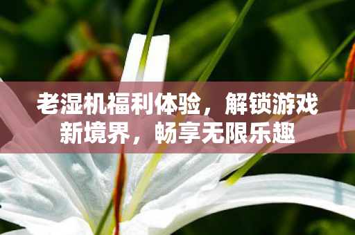 老湿机福利体验,解锁游戏新境界,畅享无限乐趣 老湿机福利体验,解锁游戏新境界,畅享无限乐趣
