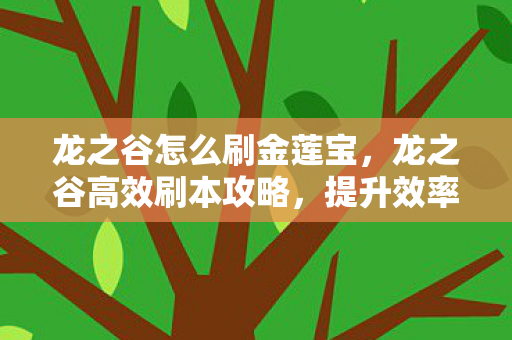 龙之谷怎么刷金莲宝，龙之谷高效刷本攻略，提升效率与收益的全面指南