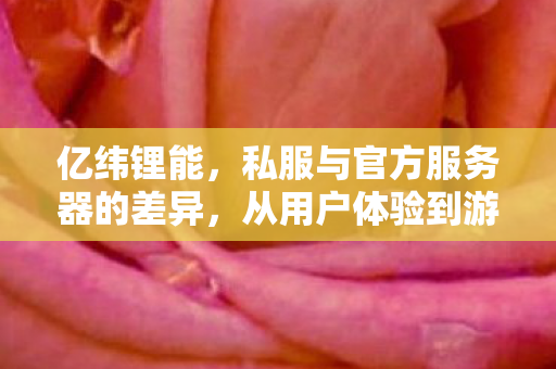 亿纬锂能，私服与官方服务器的差异，从用户体验到游戏生态的探讨