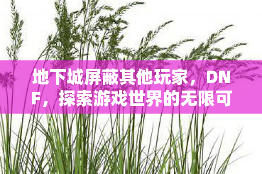 地下城屏蔽其他玩家，DNF，探索游戏世界的无限可能