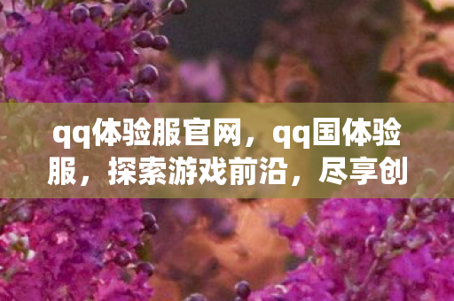 qq体验服官网,qq国体验服,探索游戏前沿,尽享创新乐趣 qq体验服官网,qq国体验服,探索游戏前沿,尽享创新乐趣