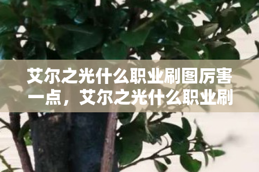 艾尔之光什么职业刷图厉害一点,艾尔之光什么职业刷图厉害 艾尔之光什么职业刷图厉害一点,艾尔之光什么职业刷图厉害
