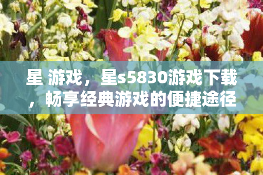 星 游戏，星s5830游戏下载，畅享经典游戏的便捷途径