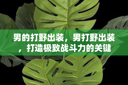 男的打野出装，男打野出装，打造极致战斗力的关键