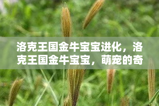 洛克王国金牛宝宝进化,洛克王国金牛宝宝,萌宠的奇幻之旅 洛克王国金牛宝宝进化,洛克王国金牛宝宝,萌宠的奇幻之旅