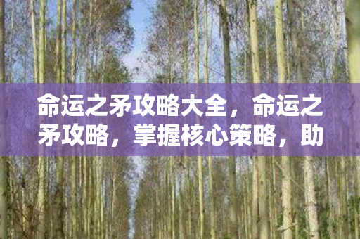 命运之矛攻略大全,命运之矛攻略,掌握核心策略,助你称霸游戏世界 命运之矛攻略大全,命运之矛攻略,掌握核心策略,助你称霸游戏世界