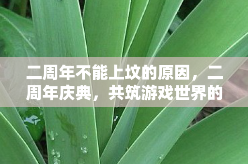 二周年不能上坟的原因,二周年庆典,共筑游戏世界的辉煌篇章 二周年不能上坟的原因,二周年庆典,共筑游戏世界的辉煌篇章