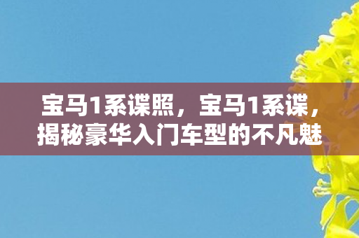 宝马1系谍照,宝马1系谍,揭秘豪华入门车型的不凡魅力 宝马1系谍照,宝马1系谍,揭秘豪华入门车型的不凡魅力