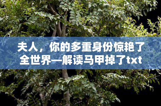夫人，你的多重身份惊艳了全世界—解读马甲掉了txt书包网