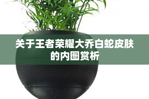 关于王者荣耀大乔白蛇皮肤的内图赏析 关于王者荣耀大乔白蛇皮肤的内图赏析