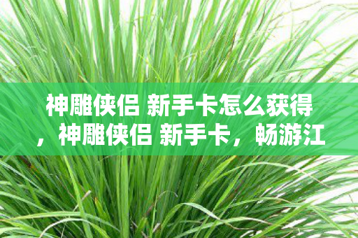 神雕侠侣 新手卡怎么获得,神雕侠侣 新手卡,畅游江湖的启程之钥 神雕侠侣 新手卡怎么获得,神雕侠侣 新手卡,畅游江湖的启程之钥