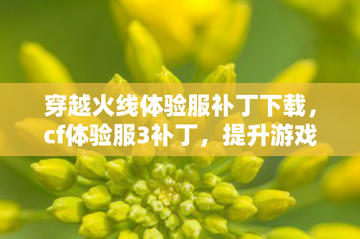 穿越火线体验服补丁下载,cf体验服3补丁,提升游戏性能,优化玩家体验 穿越火线体验服补丁下载,cf体验服3补丁,提升游戏性能,优化玩家体验