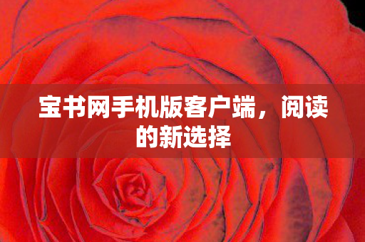 宝书网手机版客户端,阅读的新选择 宝书网手机版客户端,阅读的新选择