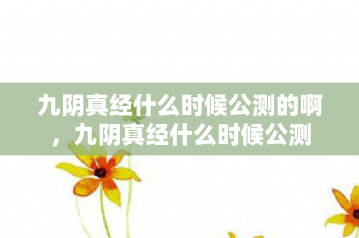 九阴真经什么时候公测的啊，九阴真经什么时候公测