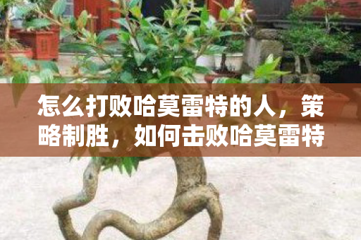 怎么打败哈莫雷特的人,策略制胜,如何击败哈莫雷特 怎么打败哈莫雷特的人,策略制胜,如何击败哈莫雷特