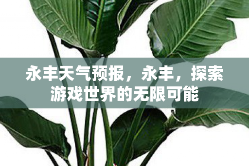 永丰天气预报,永丰,探索游戏世界的无限可能 永丰天气预报,永丰,探索游戏世界的无限可能