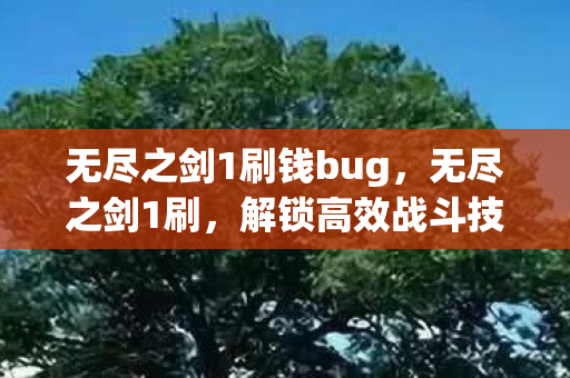 无尽之剑1刷钱bug，无尽之剑1刷，解锁高效战斗技巧，打造最强角色