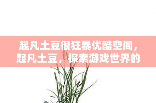 起凡土豆很狂暴优酷空间,起凡土豆,探索游戏世界的独特魅力 起凡土豆很狂暴优酷空间,起凡土豆,探索游戏世界的独特魅力