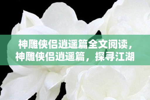 神雕侠侣逍遥篇全文阅读，神雕侠侣逍遥篇，探寻江湖中的隐秘门派