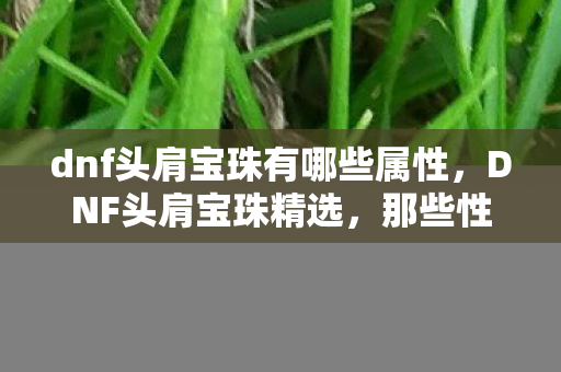 dnf头肩宝珠有哪些属性,DNF头肩宝珠精选,那些性价比超高的选择 dnf头肩宝珠有哪些属性,DNF头肩宝珠精选,那些性价比超高的选择