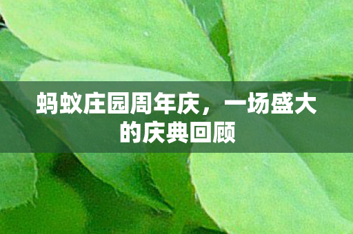 蚂蚁庄园周年庆,一场盛大的庆典回顾 蚂蚁庄园周年庆,一场盛大的庆典回顾