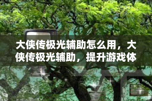 大侠传极光辅助怎么用，大侠传极光辅助，提升游戏体验的神奇工具