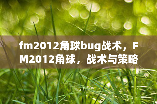 fm2012角球bug战术，FM2012角球，战术与策略的深度剖析