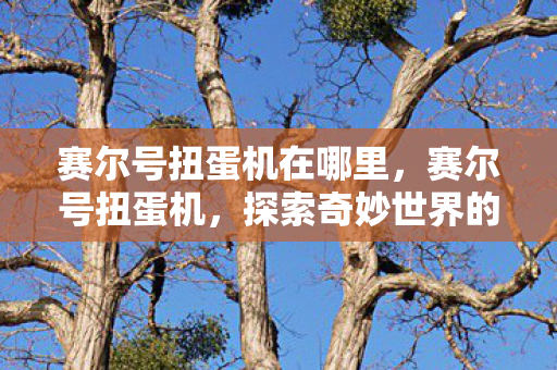 赛尔号扭蛋机在哪里,赛尔号扭蛋机,探索奇妙世界的奇妙之旅 赛尔号扭蛋机在哪里,赛尔号扭蛋机,探索奇妙世界的奇妙之旅