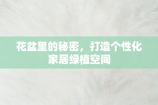 花盆里的秘密,打造个性化家居绿植空间 花盆里的秘密,打造个性化家居绿植空间