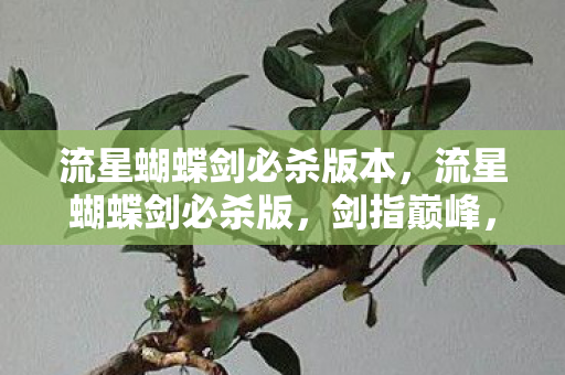 流星蝴蝶剑必杀版本,流星蝴蝶剑必杀版,剑指巅峰,一击必杀 流星蝴蝶剑必杀版本,流星蝴蝶剑必杀版,剑指巅峰,一击必杀