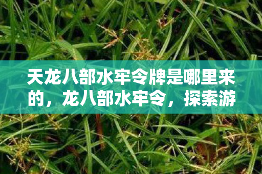天龙八部水牢令牌是哪里来的,龙八部水牢令,探索游戏世界的神秘挑战 天龙八部水牢令牌是哪里来的,龙八部水牢令,探索游戏世界的神秘挑战