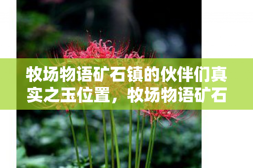 牧场物语矿石镇的伙伴们真实之玉位置,牧场物语矿石镇的伙伴们,真实之玉的神秘魅力 牧场物语矿石镇的伙伴们真实之玉位置,牧场物语矿石镇的伙伴们,真实之玉的神秘魅力