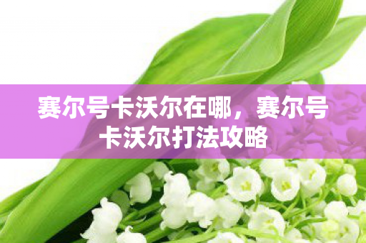赛尔号卡沃尔在哪，赛尔号卡沃尔打法攻略