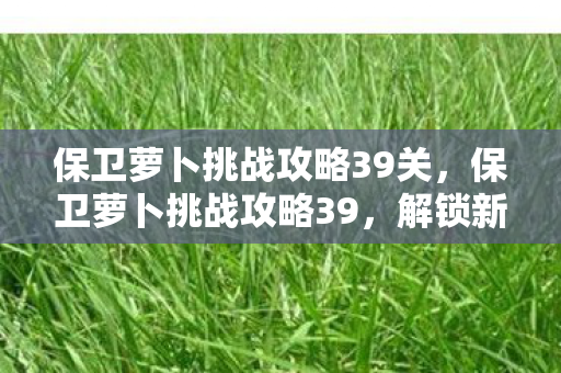 保卫萝卜挑战攻略39关,保卫萝卜挑战攻略39,解锁新关卡,提升战斗力的策略指南 保卫萝卜挑战攻略39关,保卫萝卜挑战攻略39,解锁新关卡,提升战斗力的策略指南