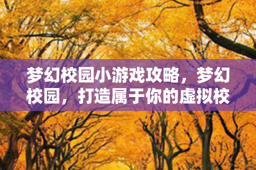 梦幻校园小游戏攻略,梦幻校园,打造属于你的虚拟校园之旅 梦幻校园小游戏攻略,梦幻校园,打造属于你的虚拟校园之旅
