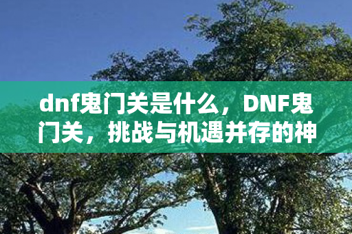 dnf鬼门关是什么,DNF鬼门关,挑战与机遇并存的神秘领域 dnf鬼门关是什么,DNF鬼门关,挑战与机遇并存的神秘领域