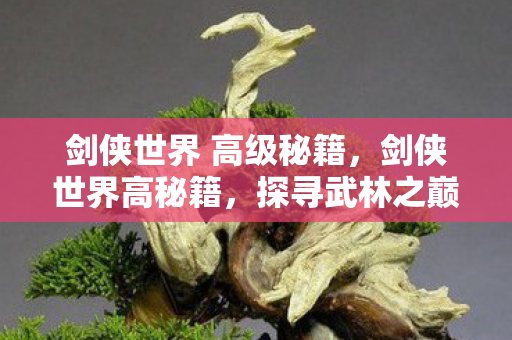 剑侠世界 高级秘籍,剑侠世界高秘籍,探寻武林之巅的奥秘 剑侠世界 高级秘籍,剑侠世界高秘籍,探寻武林之巅的奥秘