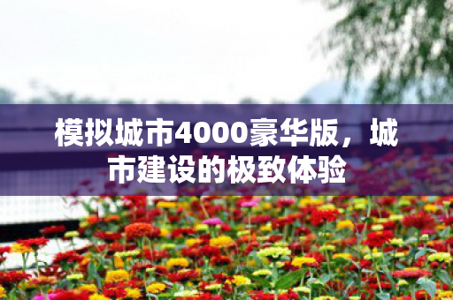 模拟城市4000豪华版,城市建设的极致体验 模拟城市4000豪华版,城市建设的极致体验