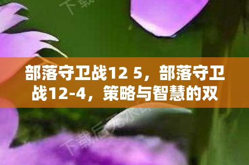 部落守卫战12 5,部落守卫战12-4,策略与智慧的双重挑战 部落守卫战12 5,部落守卫战12-4,策略与智慧的双重挑战