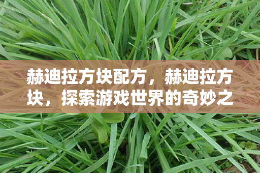 赫迪拉方块配方,赫迪拉方块,探索游戏世界的奇妙之旅 赫迪拉方块配方,赫迪拉方块,探索游戏世界的奇妙之旅