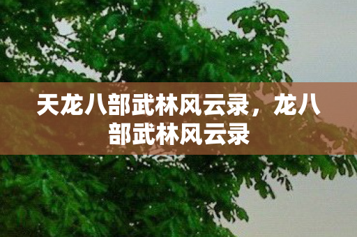 天龙八部武林风云录,龙八部武林风云录 天龙八部武林风云录,龙八部武林风云录