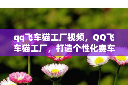 qq飞车猫工厂视频,QQ飞车猫工厂,打造个性化赛车的梦幻工坊 qq飞车猫工厂视频,QQ飞车猫工厂,打造个性化赛车的梦幻工坊