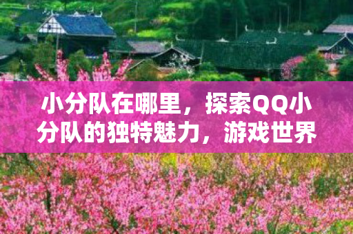 小分队在哪里,探索QQ小分队的独特魅力,游戏世界的另类体验 小分队在哪里,探索QQ小分队的独特魅力,游戏世界的另类体验
