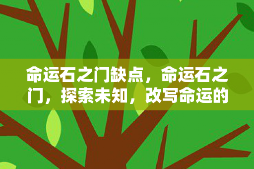 命运石之门缺点，命运石之门，探索未知，改写命运的奇幻之旅
