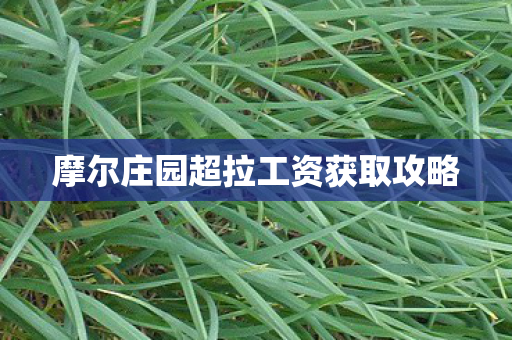 摩尔庄园超拉工资获取攻略 摩尔庄园超拉工资获取攻略