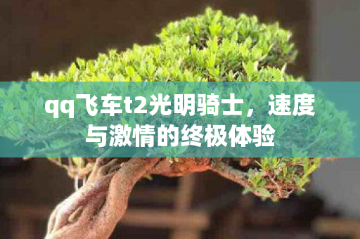 qq飞车t2光明骑士,速度与激情的终极体验 qq飞车t2光明骑士,速度与激情的终极体验