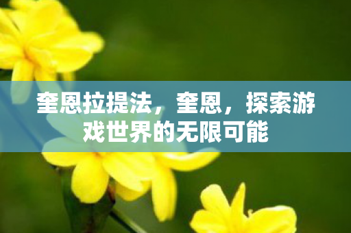 奎恩拉提法,奎恩,探索游戏世界的无限可能 奎恩拉提法,奎恩,探索游戏世界的无限可能